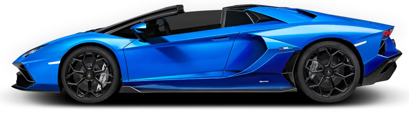 Lamborghini with premium tint and paint protection